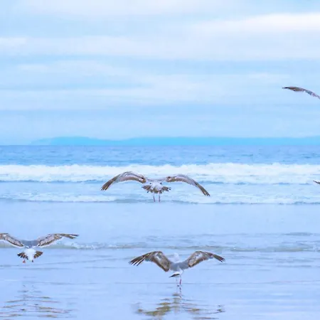 Dünenblick - Juliana Aan Zee